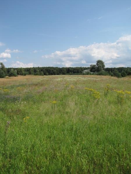 Działka Rolna Z Możliwością Zabudowy W Sobieniach Szlacheckich