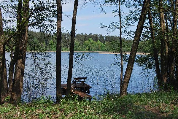 Działka Budowlana Nad Jeziorem Kalwa Pasym Miłuki Linia Brzegowa Dom 15 M Od Jeziora Okazja 2