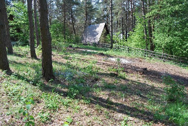 Działka Budowlana Nad Jeziorem Kalwa Pasym Miłuki Linia Brzegowa Dom 15 M Od Jeziora Okazja 3