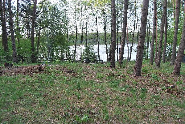 Działka Budowlana Nad Jeziorem Kalwa Pasym Miłuki Linia Brzegowa Dom 15 M Od Jeziora Okazja 4