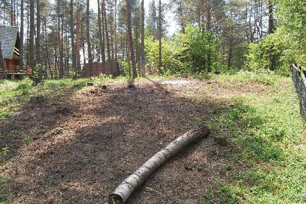 Działka Budowlana Nad Jeziorem Kalwa Pasym Miłuki Linia Brzegowa Dom 15 M Od Jeziora Okazja 5