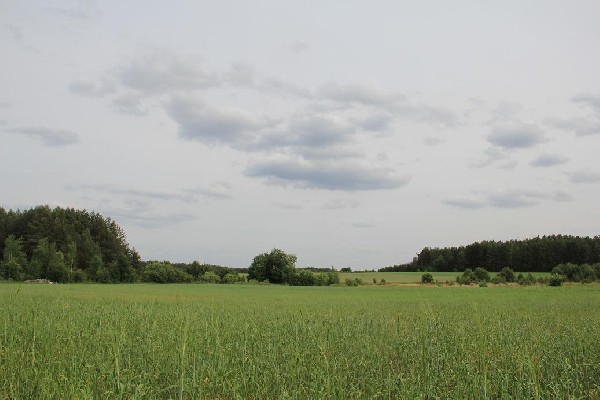 Piękna Działka Pod Lasem, Ogrodniczki