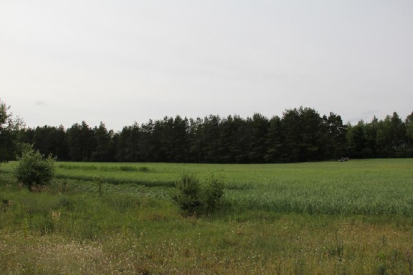 Piękna Działka Pod Lasem, Ogrodniczki 3