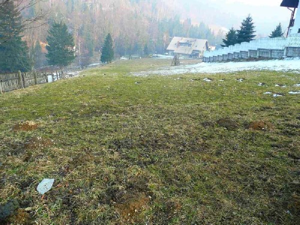 Działka Budowlana Wisła Jawornik, świetna Lokalizacja, Dobra Cena! 