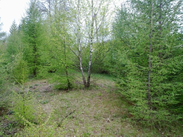 - Sprzedam Piękną Działkę Budowlaną - Pilne - 5